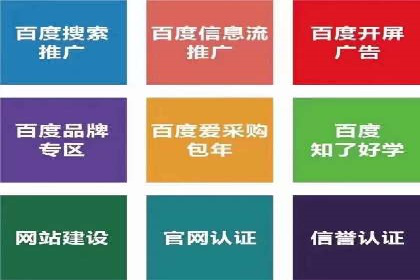 百度推广成功案例分析